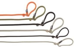 Rebel Petz - Honden Trainingslijn Met Halsband - Taupe, Zwart, Groen & Oranje - Maat Small Of Large - Kleur: Oranje, Maat: Large -Honden Benodigdheden Verkoop 1200x756 3