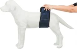 Trixie Plasband Voor Reuen Blauw M 37/45cm -Honden Benodigdheden Verkoop 1200x762 1
