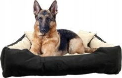 Ecco - Honden- En Kattenbed Met Kussen | Binnenmaat: 130x100 / Buitenmaat: 145x115cm - Beige / Zwart -Honden Benodigdheden Verkoop 1200x772 3