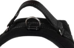 PetsPro Hondentuigje - Maat M - Anti Trek Honden Harnas - Honden Tuig - Tot 30 Kg - Nek Omvang: 45-56 Cm Borst Omvang: 52-64 Cm 13 PetsPro Hondentuigje - Maat M - Anti Trek Honden Harnas - Honden Tuig - Tot 30 Kg - Nek Omvang: 45-56 Cm Borst Omvang: 52-64 Cm -Honden Benodigdheden Verkoop 1200x776 6