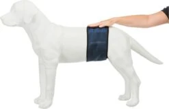 Trixie Plasband Voor Reuen Blauw M 37/45cm -Honden Benodigdheden Verkoop 1200x777