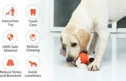Merkloos Hondenknuffel - Interactief Piepspeelgoed Voor Honden - Teddy - Stoer Hondenkauwspeelgoed - Met Katoenen Materiaal En Gekreukt Papier - Hondenspeelgoed Voor Grote En Kleine Honden -Honden Benodigdheden Verkoop 1200x777 4