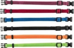 Beeztees Comfort Muilband - Hond - XXL - 23-33 Cm -Honden Benodigdheden Verkoop 1200x780 2