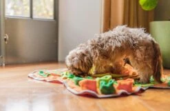 SNUFFIES® Snuffelmat Belle 60x50cm – Snuffelmat – Snuffelmatten - Honden Speelgoed - Honden Speelgoed Intelligentie - Snuffelmat Hond - Snuffelmatten – Hersenwerk – Honden Speeltjes – Puppy - Puppy Speelgoed - Honden Denkspelletjes -Honden Benodigdheden Verkoop 1200x783 3