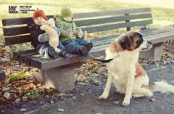 WAW Easy Dog Walk 'schokdemper' Zwart - XXL - >40 Kg -Honden Benodigdheden Verkoop 1200x785 4