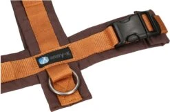 Anny.X Hondentuig Y Tuig Bruin Barnsteen Maat L Geschikt Voor Borstomvang 70-86cm -Honden Benodigdheden Verkoop 1200x789 4