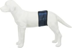 Trixie Plasband Voor Reuen Blauw S 29/37cm -Honden Benodigdheden Verkoop 1200x790 5