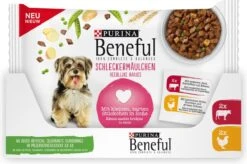 Beneful Pouch - Hondenvoer Kip & Rund In Saus - 40 X 100 G 7 Beneful Pouch - Hondenvoer Kip & Rund In Saus - 40 X 100 G -Honden Benodigdheden Verkoop 1200x796