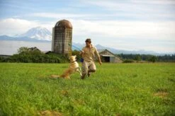 Benson Rode Honden Ballenwerper Met Ergonomische Handgreep – Inclusief Tennisbal – 38cm – Rood | Balwerper Voor Hond | Bal Werpen | Apporteer Speelgoed | Hondenspeelgoed -Honden Benodigdheden Verkoop 1200x798 14