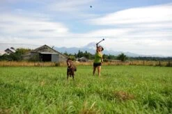 Benson Rode Honden Ballenwerper Met Ergonomische Handgreep – Inclusief Tennisbal – 38cm – Rood | Balwerper Voor Hond | Bal Werpen | Apporteer Speelgoed | Hondenspeelgoed -Honden Benodigdheden Verkoop 1200x798 15