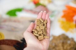 Kivo Petfood Hondenbrokken Lam & Rijst 14 Kg Koudgeperst - Glutenvrij -Honden Benodigdheden Verkoop 1200x799 1