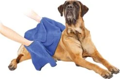 Dierenhanddoek Microvezel - Honden En Katten - Incl. Handvatten - 40x60 Cm - Blauw -Honden Benodigdheden Verkoop 1200x799 14