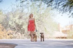 Wigzi Dual Doggie 2.0 Voor Twee Honden - Hondenriem - Grijs - 3m - <22 Kg (per Hond) -Honden Benodigdheden Verkoop 1200x799 19