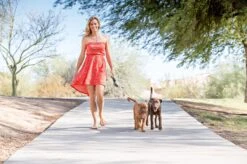 Wigzi Dual Doggie 2.0 Voor Twee Honden - Hondenriem - Grijs - 3m - <22 Kg (per Hond) -Honden Benodigdheden Verkoop 1200x799 21