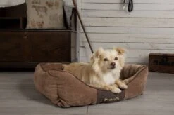 Hondenmand Zacht En Stevig, Anti-Slip En Wasbaar - Scruffs Chester Box Bed - In Grijs En Bruin In Maat S Tot XL - Kleur: Grijs, Maat: Extra Large -Honden Benodigdheden Verkoop 1200x799 23