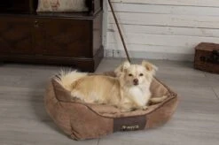 Hondenmand Zacht En Stevig, Anti-Slip En Wasbaar - Scruffs Chester Box Bed - In Grijs En Bruin In Maat S Tot XL - Kleur: Grijs, Maat: Extra Large -Honden Benodigdheden Verkoop 1200x799 24