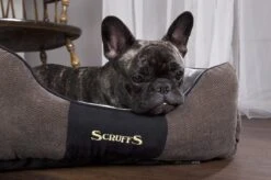 Hondenmand Zacht En Stevig, Anti-Slip En Wasbaar - Scruffs Chester Box Bed - In Grijs En Bruin In Maat S Tot XL - Kleur: Grijs, Maat: Extra Large -Honden Benodigdheden Verkoop 1200x799 25
