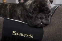 Hondenmand Zacht En Stevig, Anti-Slip En Wasbaar - Scruffs Chester Box Bed - In Grijs En Bruin In Maat S Tot XL - Kleur: Grijs, Maat: Extra Large -Honden Benodigdheden Verkoop 1200x799 26