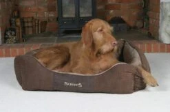 Hondenmand Zacht En Stevig, Anti-Slip En Wasbaar - Scruffs Chester Box Bed - In Grijs En Bruin In Maat S Tot XL - Kleur: Grijs, Maat: Extra Large -Honden Benodigdheden Verkoop 1200x799 28