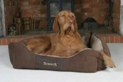 Hondenmand Zacht En Stevig, Anti-Slip En Wasbaar - Scruffs Chester Box Bed - In Grijs En Bruin In Maat S Tot XL - Kleur: Grijs, Maat: Extra Large -Honden Benodigdheden Verkoop 1200x799 29