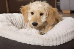 Scruffs Ellen Donut - Warme Hondenmand Van Imitatiebont - Kleur Grijs, Roze Of Bruin - Maat M Of L - Kleur: Grijs, Maat: Medium -Honden Benodigdheden Verkoop 1200x799 41