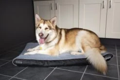 Scruffs Chateau - Hondenbed Orthopedisch Met Memory Foam Voor Extra Steun Voor Rug En Gewrichten - Grijs & Bruin Maat M/L - Kleur: Grijs, Maat: Large -Honden Benodigdheden Verkoop 1200x799 44