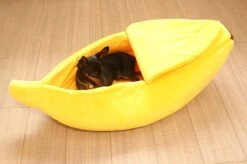 N/A Kattenhuis Banaan L - Hondenhuis Banaan L - 65x25x18 Cm - Kattenmand - Hondenmand - Dierenmand - Cadeau Kat -Honden Benodigdheden Verkoop 1200x799 48