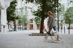 Julius K9 Julius-K9 IDC®Powertuig, M - Maat 0, Camouflage -Honden Benodigdheden Verkoop 1200x799 53