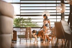 Julius K9 Julius-K9 IDC®Powertuig, XL - Maat 2, Zwart -Honden Benodigdheden Verkoop 1200x799 55