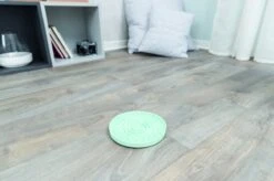 Trixie Junior Likplaat Mintgroen (15X15 CM) 23 Trixie Junior Likplaat Mintgroen (15X15 CM) -Honden Benodigdheden Verkoop 1200x799 58