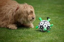 Honden Speelgoed Bal Voetbal Extra Sterk Met Handvaten Ball Hondenbal - 15 Cm - Dutchwide -Honden Benodigdheden Verkoop 1200x799 68