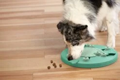 Nina Ottosson Dog Worker Composiet 34,5x34,5x5 Cm -Honden Benodigdheden Verkoop 1200x799 74