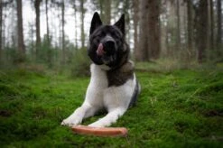 The Original Himalayan Yak Kauwbot Medium Puur Fit -Honden Benodigdheden Verkoop 1200x799 9