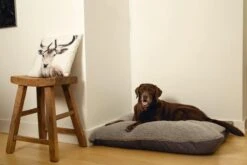 Beeztees Ruba - Orthopedisch Hondenkussen - Grijs - 100x70cm -Honden Benodigdheden Verkoop 1200x800 105