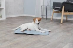 Trixie Junior Ligmat Fresh Lichtblauw - 60X50 CM -Honden Benodigdheden Verkoop 1200x800 114