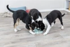 Trixie Junior Likplaat Mintgroen - 21X21 CM -Honden Benodigdheden Verkoop 1200x800 146