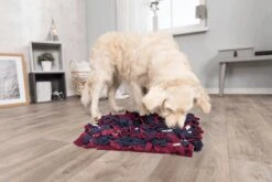 Trixie Activity Snuffelmat Assorti - 50X34 CM -Honden Benodigdheden Verkoop 1200x800 149