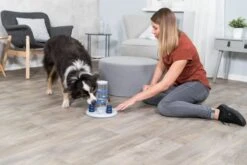 Trixie Dog Activity Gambling Tower - 27X25 CM -Honden Benodigdheden Verkoop 1200x800 166