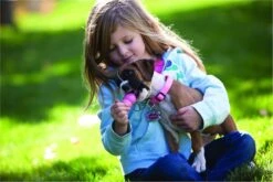 Kong Puppy - Hondenspeelgoed - Assorti - M -Honden Benodigdheden Verkoop 1200x800 184