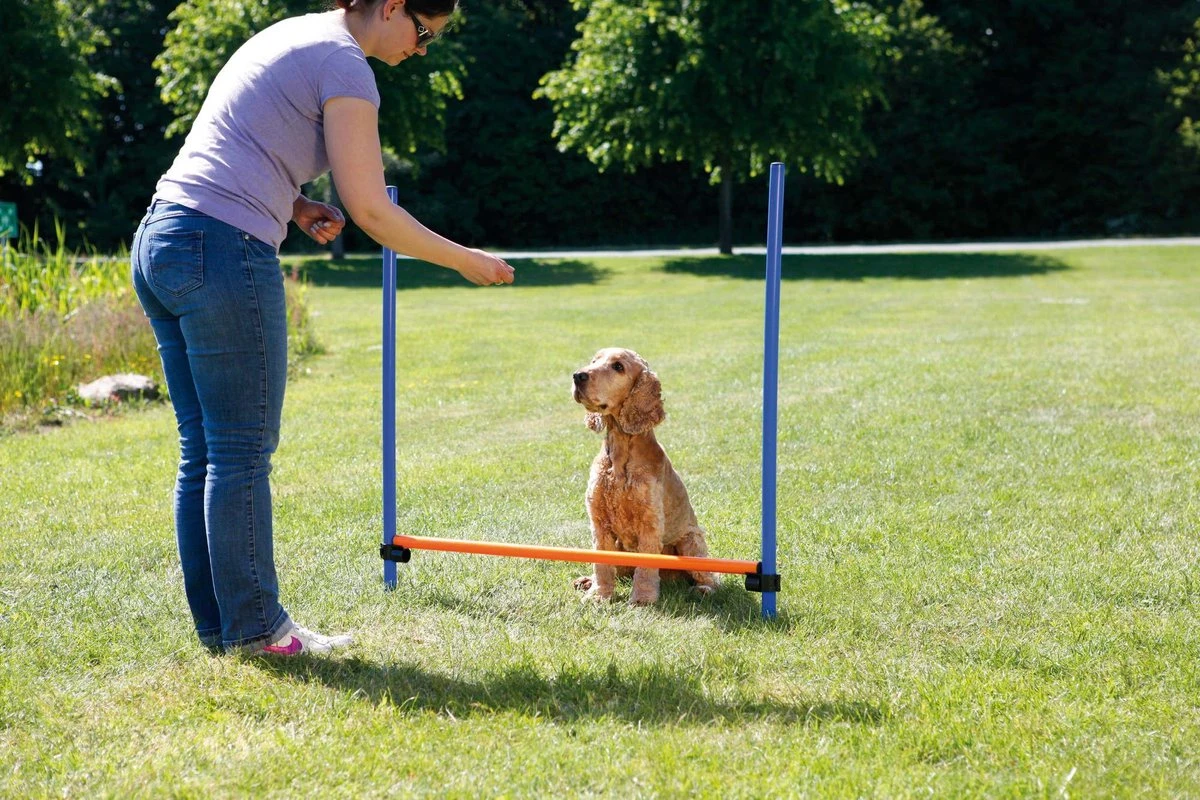 Trixie Dog Activity Agility Horde - Blauw/Oranje - 123 X 115 X 3 Cm 10 Trixie Dog Activity Agility Horde - Blauw/Oranje - 123 X 115 X 3 Cm - Afbeelding 8