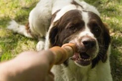 Beeztees Sumo Fit Stick - Hondenspeelgoed - Rubber - Oranje - 50 Cm -Honden Benodigdheden Verkoop 1200x800 200