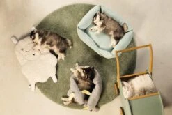 Beeztees Puppy Cosy Doggy - Hondenspeelgoed - Grijs - 120x12x9,5 Cm -Honden Benodigdheden Verkoop 1200x800 236