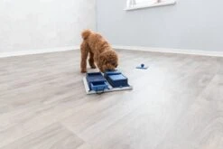 Trixie Dog Activity Poker Box 1 - 31X31 CM -Honden Benodigdheden Verkoop 1200x800 242