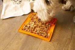 Lickimat Buddy - Voermat - Slow Feeder - 20 Cm - Oranje -Honden Benodigdheden Verkoop 1200x800 245