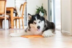 Lickimat Buddy - Voermat - Slow Feeder - 20 Cm - Oranje -Honden Benodigdheden Verkoop 1200x800 247