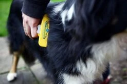 Furminator® Hond Langhaar - Vermindert Haaruitval Tot 90% - Hondenborstel - L -Honden Benodigdheden Verkoop 1200x800 32