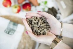 Kivo Petfood Hondenbrokken Gedroogde Lam - 14 Kg - Koudgeperst - Graanvrij -Honden Benodigdheden Verkoop 1200x800 6