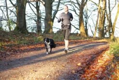 Trixie Heupriem Met Jogginglijn Zwart - RIEM 60-120 CM LIJN 100-135 CM 15 Trixie Heupriem Met Jogginglijn Zwart - RIEM 60-120 CM LIJN 100-135 CM -Honden Benodigdheden Verkoop 1200x800 60