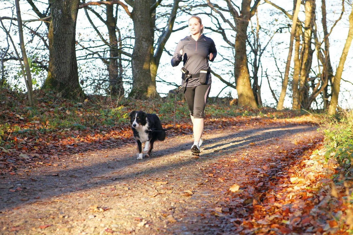 Trixie Heupriem Met Jogginglijn Zwart - RIEM 60-120 CM LIJN 100-135 CM 7 Trixie Heupriem Met Jogginglijn Zwart - RIEM 60-120 CM LIJN 100-135 CM - Afbeelding 6