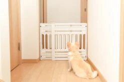 Iris Ohyama Huisdier Bariere PBR-600 - Kunststof - Wit/Beige - Uitschuifbaar -Honden Benodigdheden Verkoop 1200x800 61